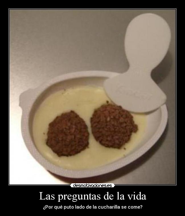 carteles vida kinder desmotivaciones