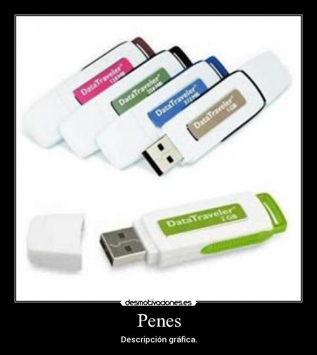 Penes - Descripción gráfica.