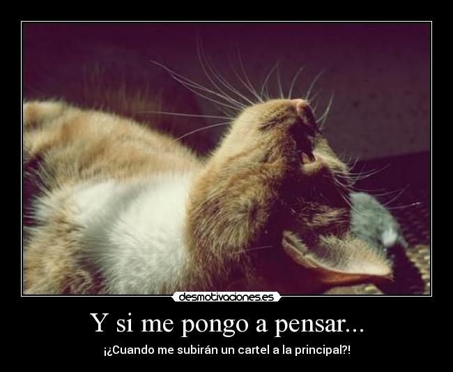 Y si me pongo a pensar... - 