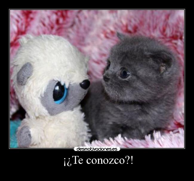 ¡¿Te conozco?! -