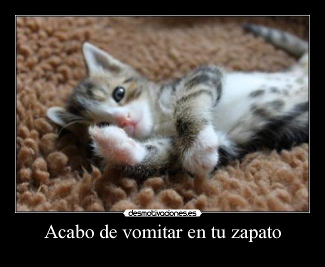 Acabo de vomitar en tu zapato - 