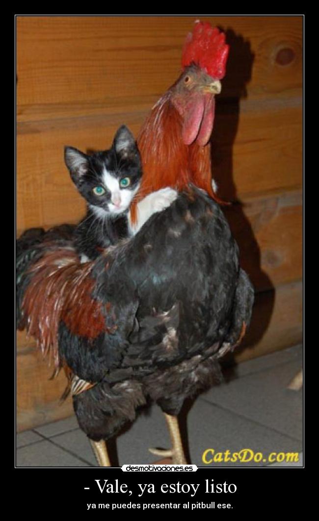 - Vale, ya estoy listo - ya me puedes presentar al pitbull ese.