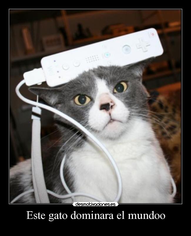 Este gato dominara el mundoo - 