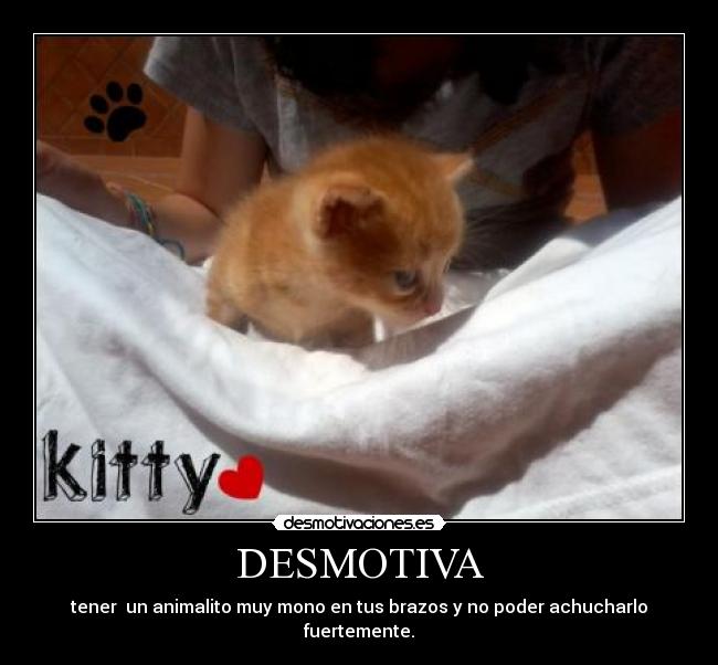 DESMOTIVA - tener un animalito muy mono en tus brazos y no poder achucharlo fuertemente.