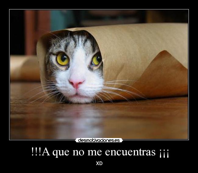 !!!A que no me encuentras ¡¡¡ - XD