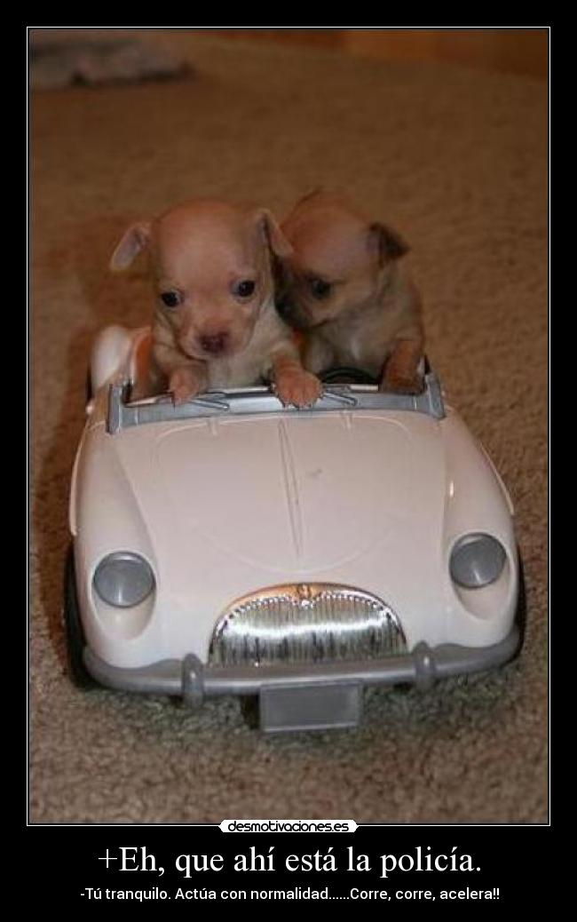 +Eh, que ahí está la policía. - -Tú tranquilo. Actúa con normalidad......Corre, corre, acelera!!