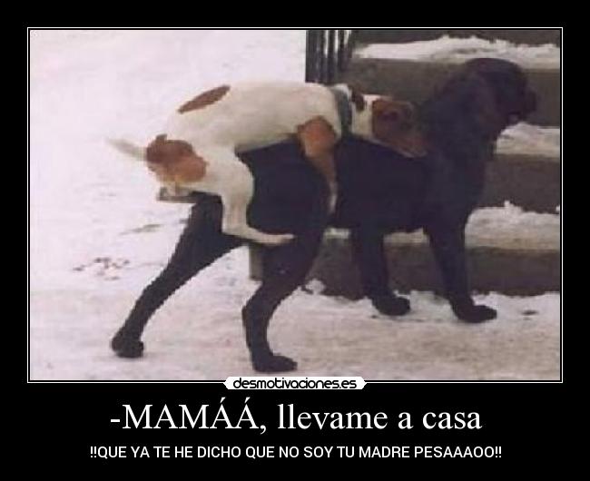 -MAMÁÁ, llevame a casa - !!QUE YA TE HE DICHO QUE NO SOY TU MADRE PESAAAOO!!
