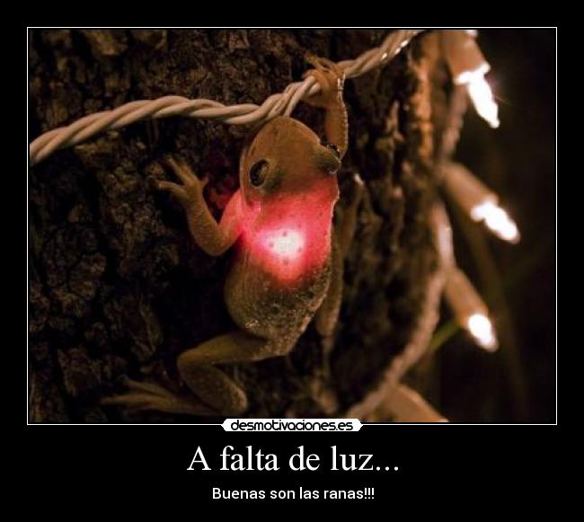 carteles humor desmotivaciones