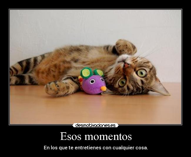 Esos momentos - 