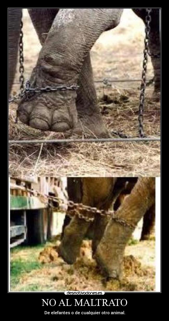 carteles desmotivaciones