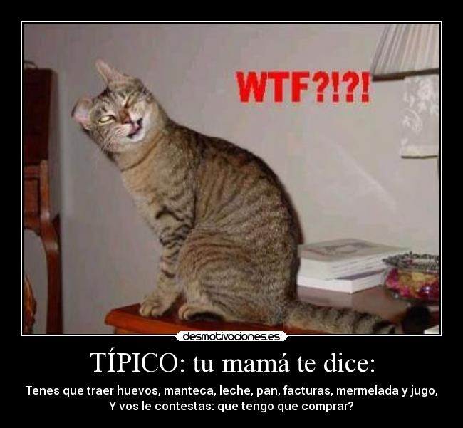 TÍPICO: tu mamá te dice: - Tenes que traer huevos, manteca, leche, pan, facturas, mermelada y jugo,
Y vos le contestas: que tengo que comprar?