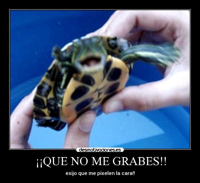 ¡¡QUE NO ME GRABES!! - 