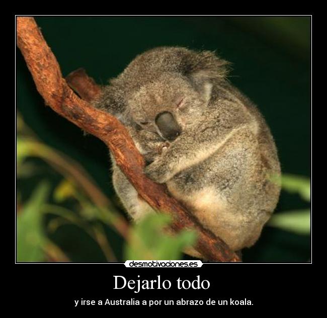 Dejarlo todo - y irse a Australia a por un abrazo de un koala.