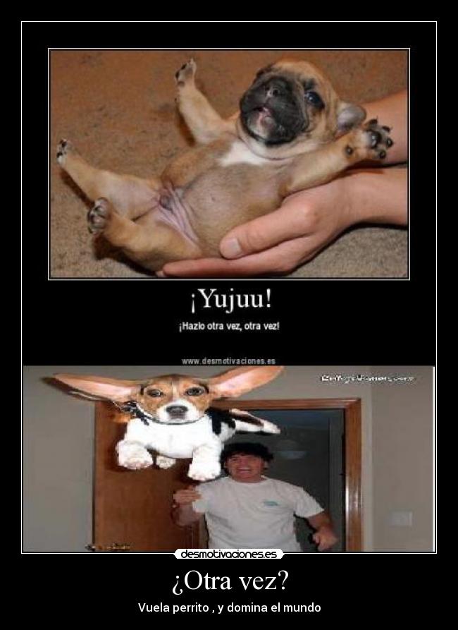 ¿Otra vez? - Vuela perrito , y domina el mundo