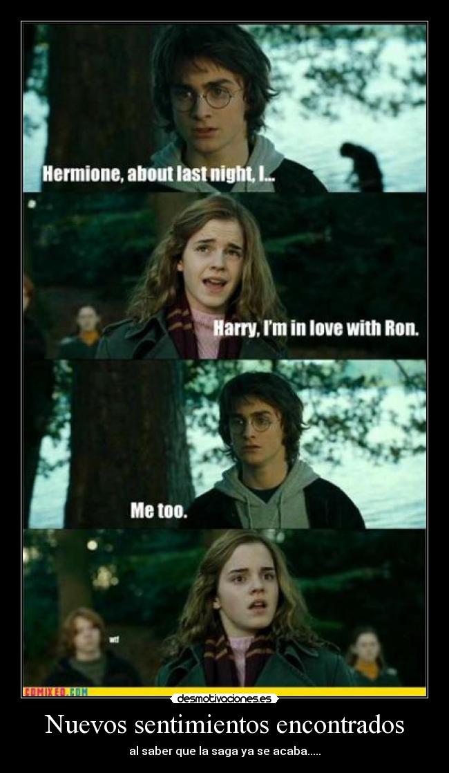 Nuevos sentimientos encontrados -