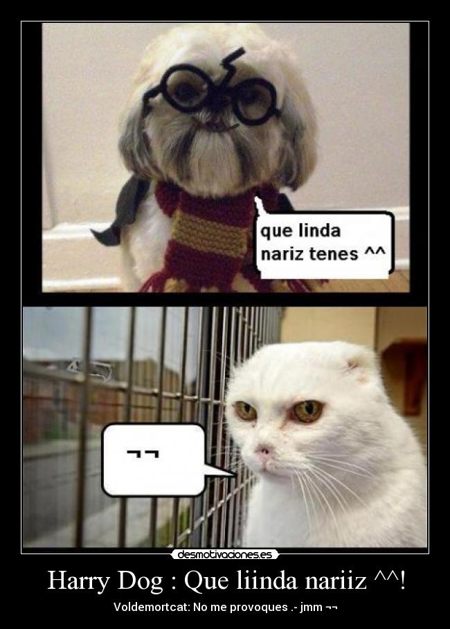Harry Dog : Que liinda nariiz ^^! -