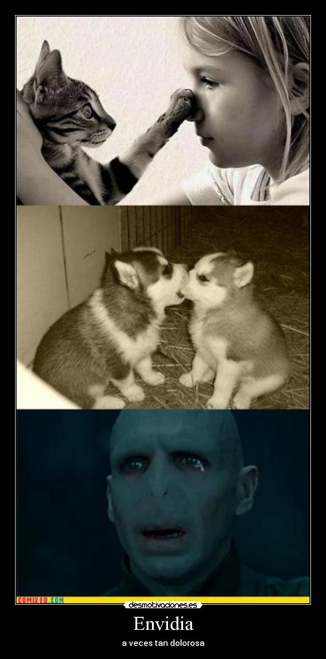 Envidia - a veces tan dolorosa