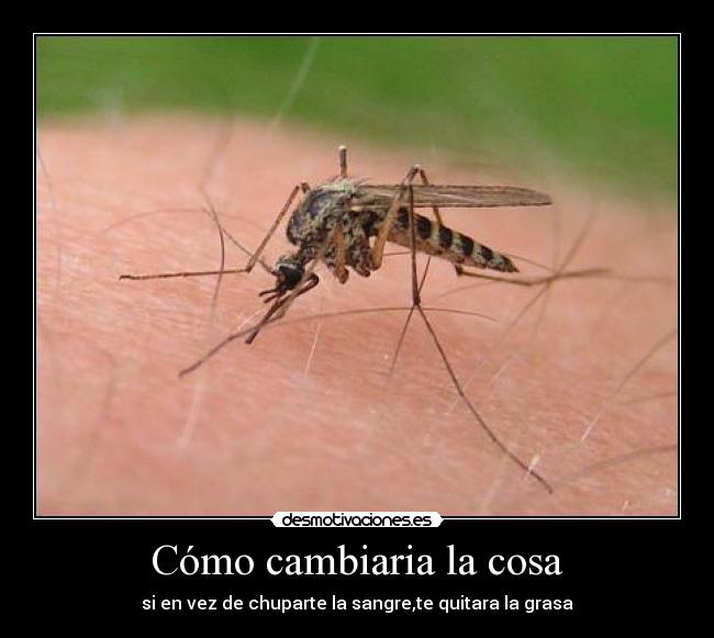 Cómo cambiaria la cosa - 