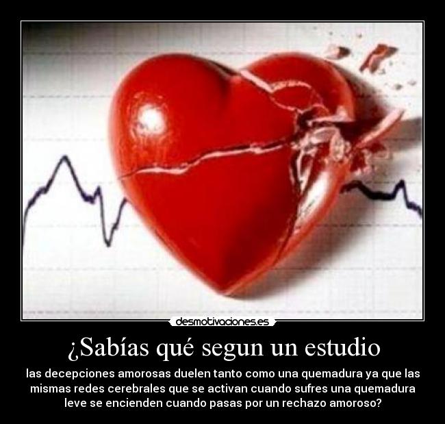 ¿Sabías qué segun un estudio - las decepciones amorosas duelen tanto como una quemadura ya que las
mismas redes cerebrales que se activan cuando sufres una quemadura
leve se encienden cuando pasas por un rechazo amoroso?