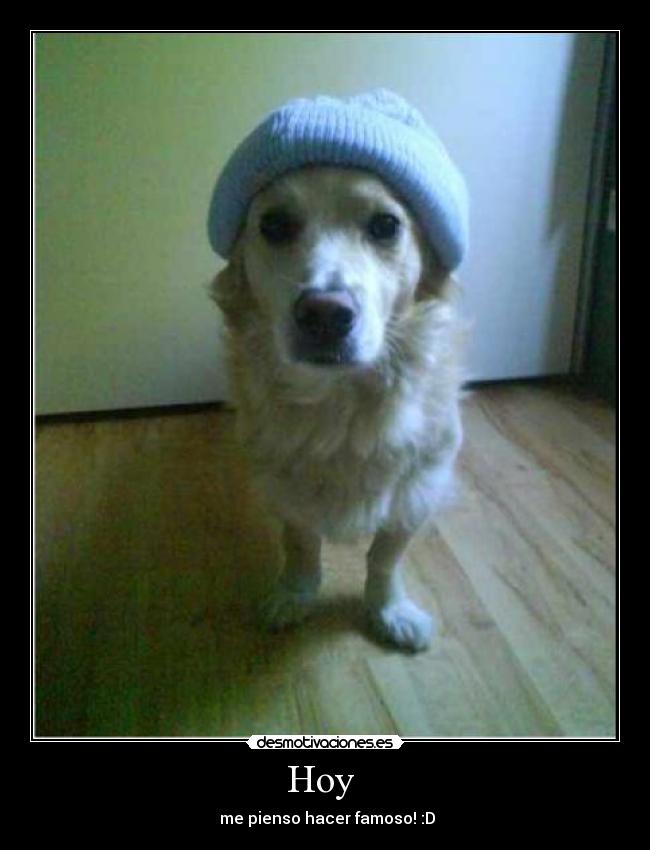 carteles desmotivaciones