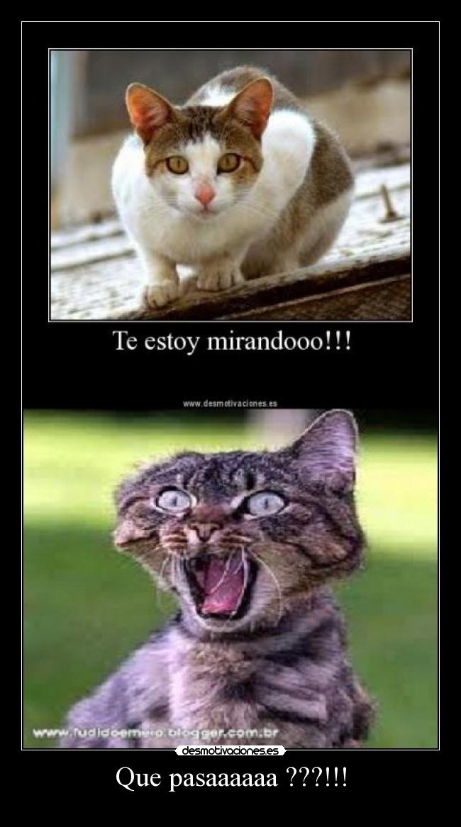 Que pasaaaaaa ???!!! - 