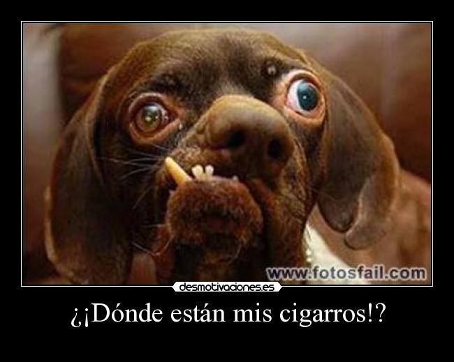 ¿¡Dónde están mis cigarros!? - 