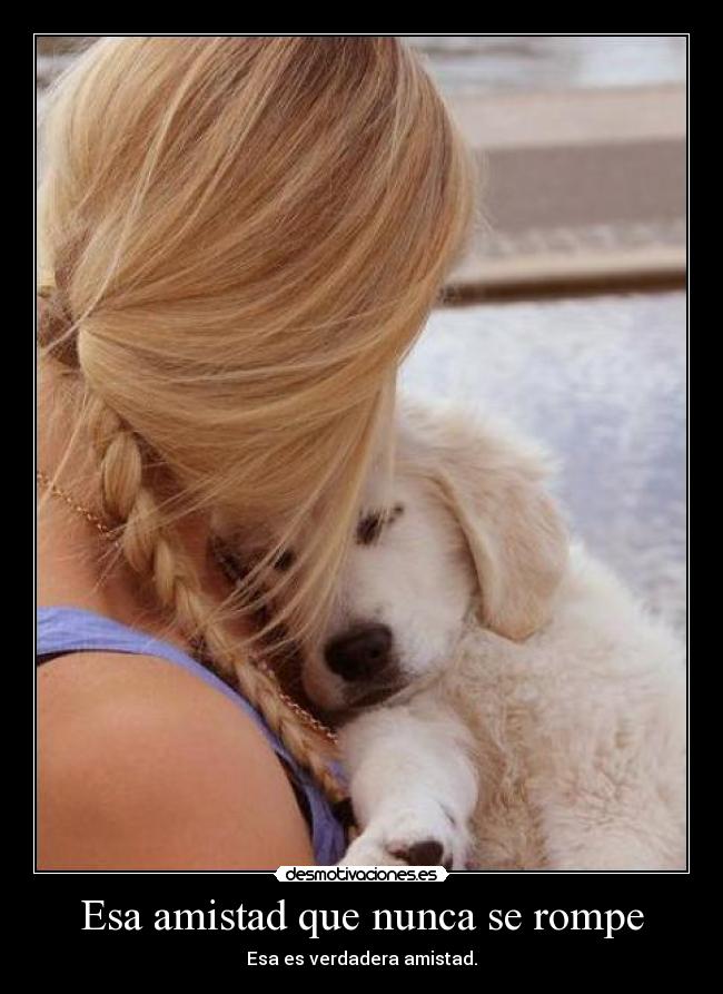 Esa amistad que nunca se rompe - 