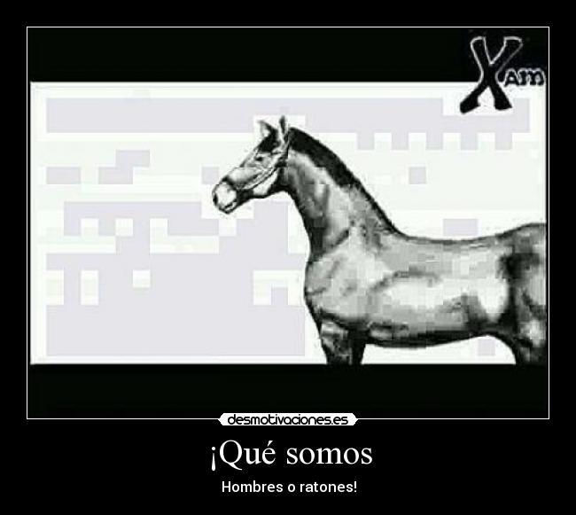 ¡Qué somos - Hombres o ratones!