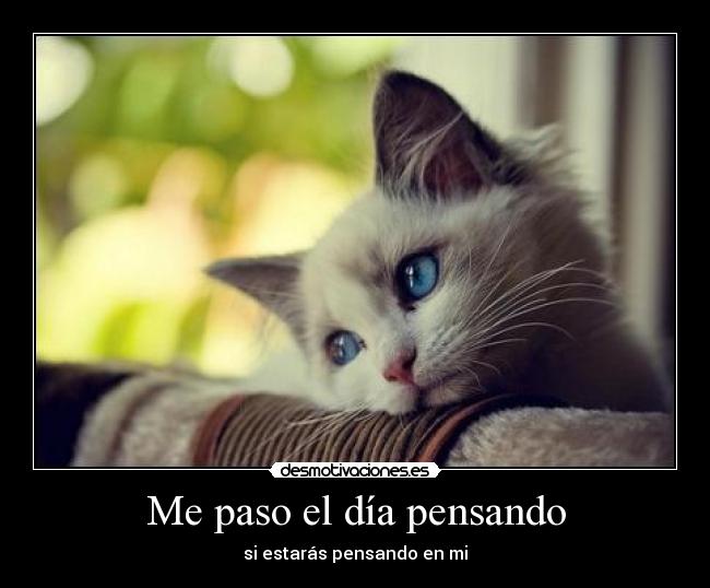 Me paso el día pensando -