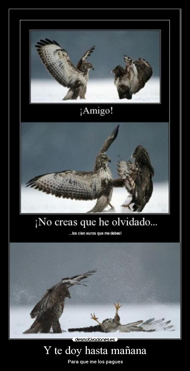 Y te doy hasta mañana -