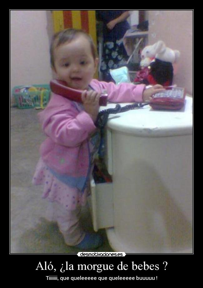 Aló, ¿la morgue de bebes ? - Tiiiiiii, que queleeeee que queleeeee buuuuu !