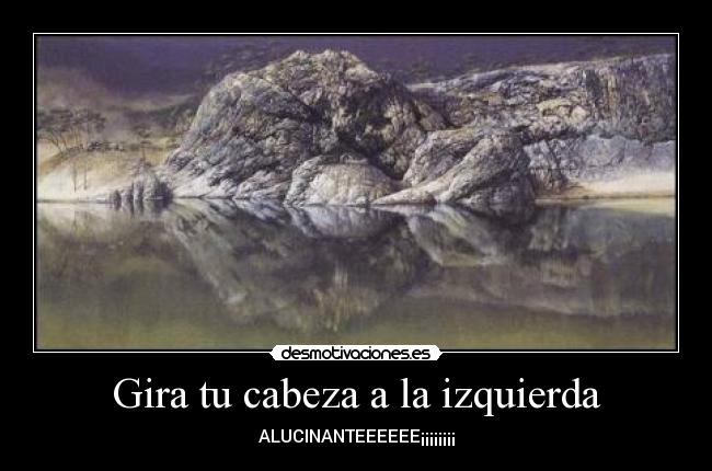 carteles bigdog desmotivaciones