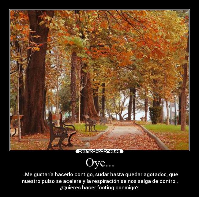 Oye... - ...Me gustaría hacerlo contigo, sudar hasta quedar agotados, que
nuestro pulso se acelere y la respiración se nos salga de control.
¿Quieres hacer footing conmigo?.