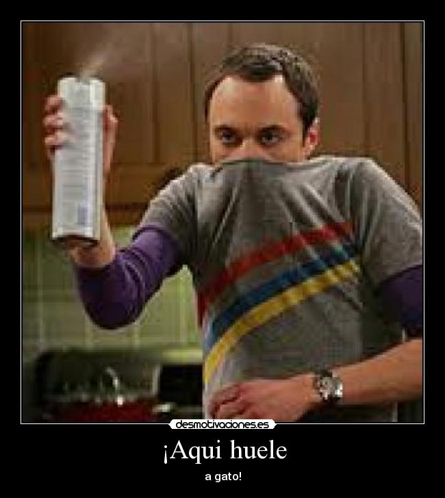 ¡Aqui huele - a gato!