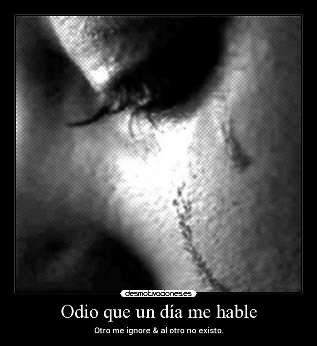 carteles odio odio que dia hable desmotivaciones