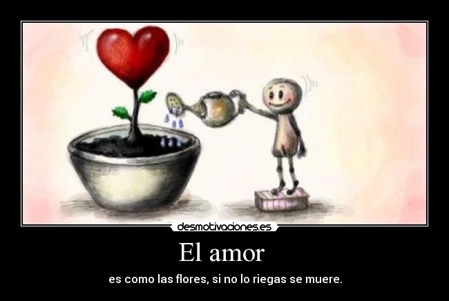 El amor  - es como las flores, si no lo riegas se muere.