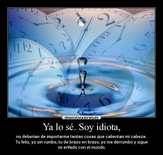 Ya lo sé. Soy idiota, - 