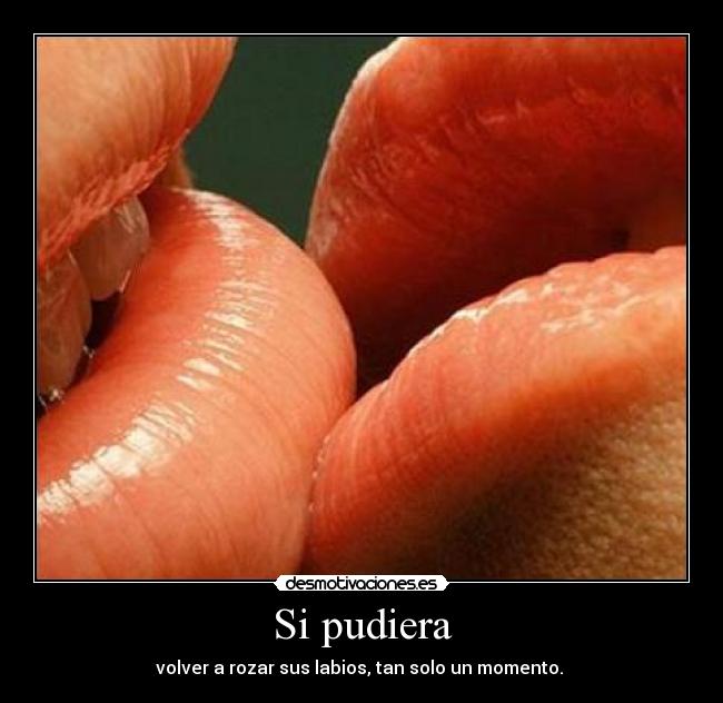 Si pudiera - volver a rozar sus labios, tan solo un momento.