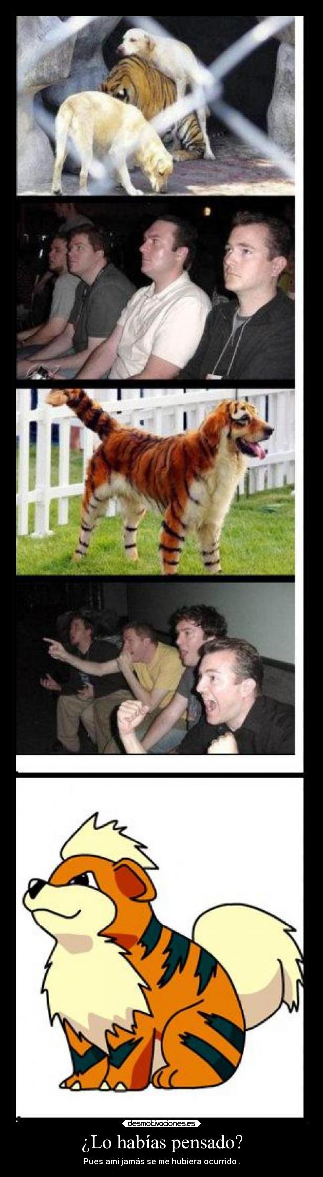 ¿Lo habías pensado? -