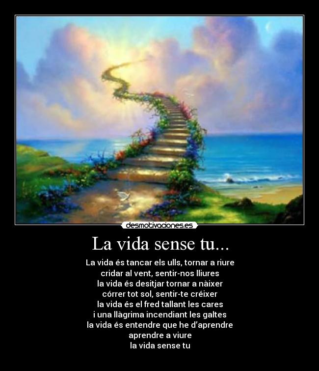 La vida sense tu... - La vida és tancar els ulls, tornar a riure
cridar al vent, sentir-nos lliures
la vida és desitjar tornar a nàixer
córrer tot sol, sentir-te créixer
la vida és el fred tallant les cares
i una llàgrima incendiant les galtes
la vida és entendre que he d’aprendre
aprendre a viure
la vida sense tu
