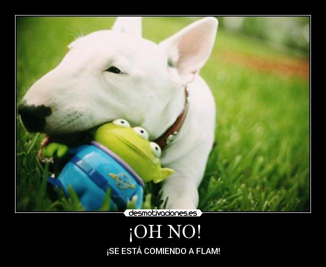 ¡OH NO! - ¡SE ESTÁ COMIENDO A FLAM!