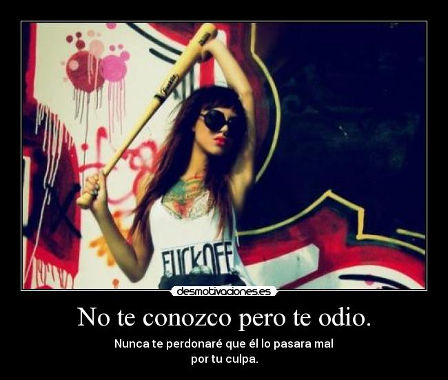 No te conozco pero te odio. -