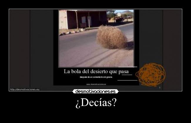 ¿Decías? -