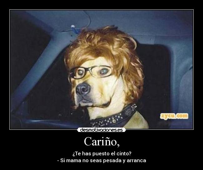 Cariño, - ¿Te has puesto el cinto?
- Si mama no seas pesada y arranca