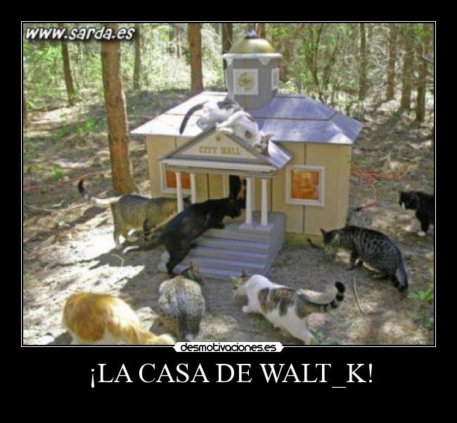 ¡LA CASA DE WALT_K! - 