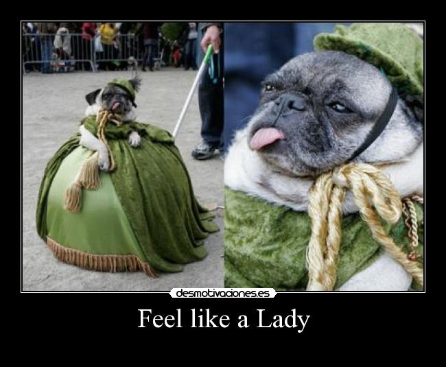 Feel like a Lady - 