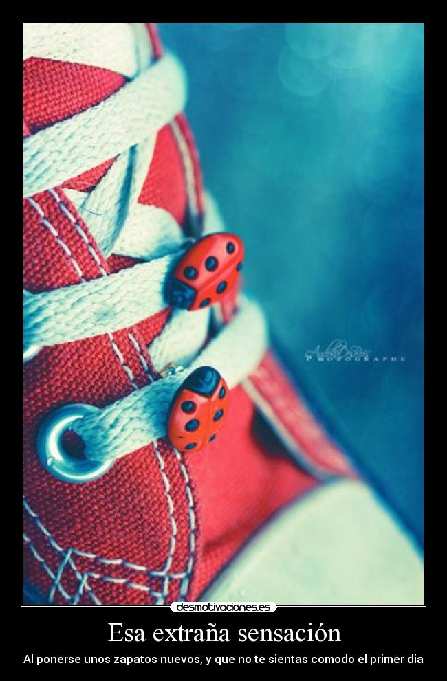 Esa extraña sensación - Al ponerse unos zapatos nuevos, y que no te sientas comodo el primer dia