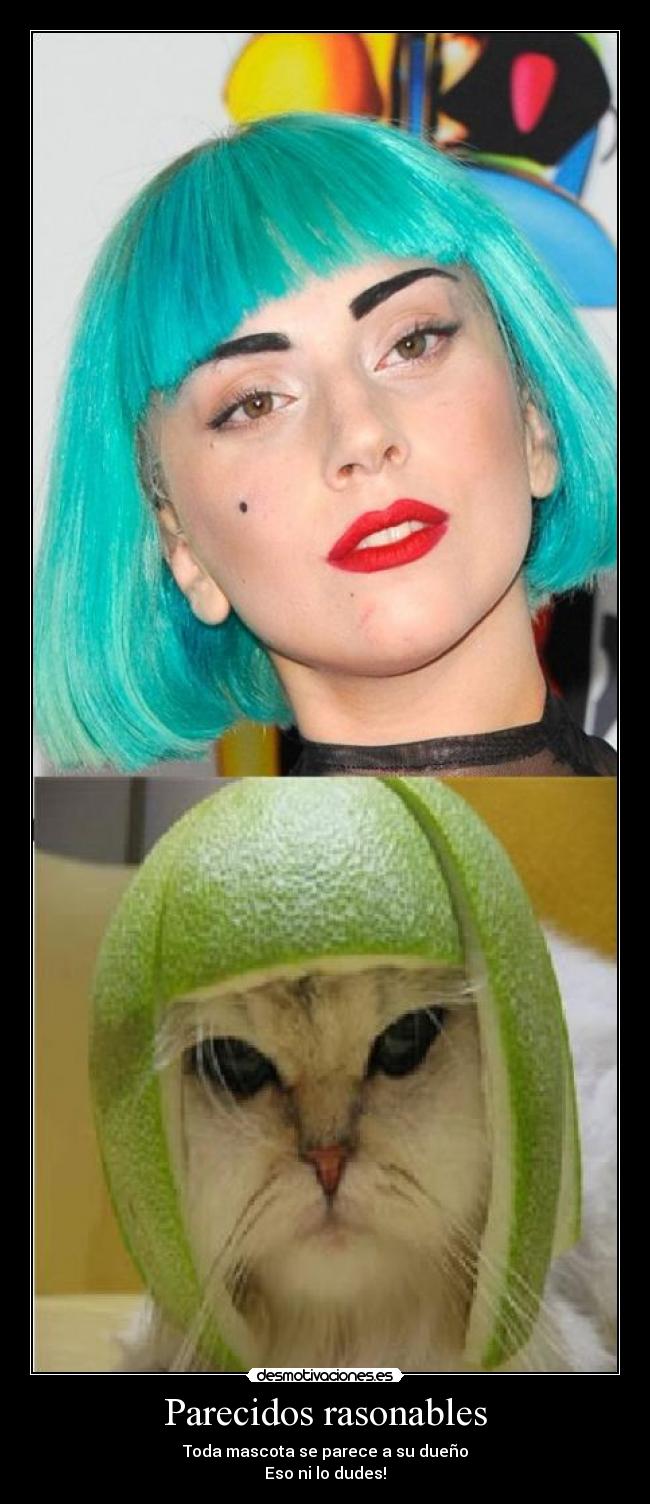 Parecidos rasonables - Toda mascota se parece a su dueño
Eso ni lo dudes!