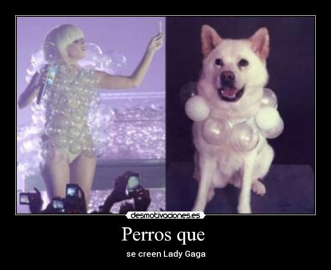 carteles jess_de_melon josemidesmotiva123 walt_k desmotivaciones