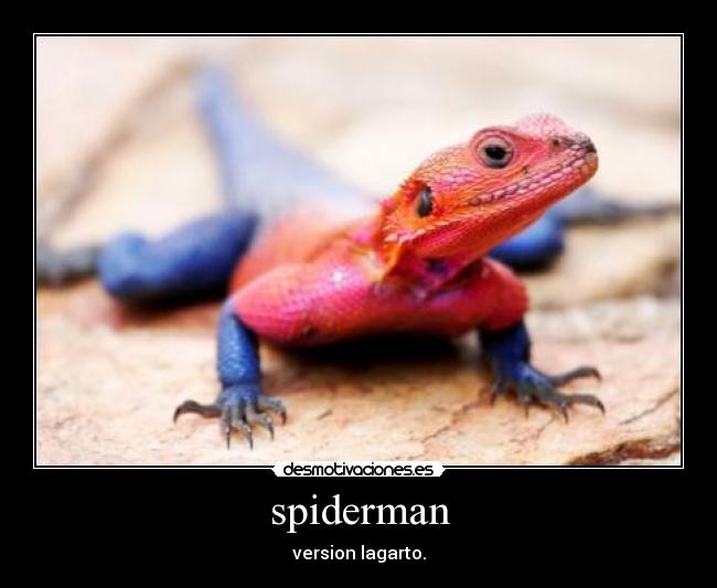 spiderman -
